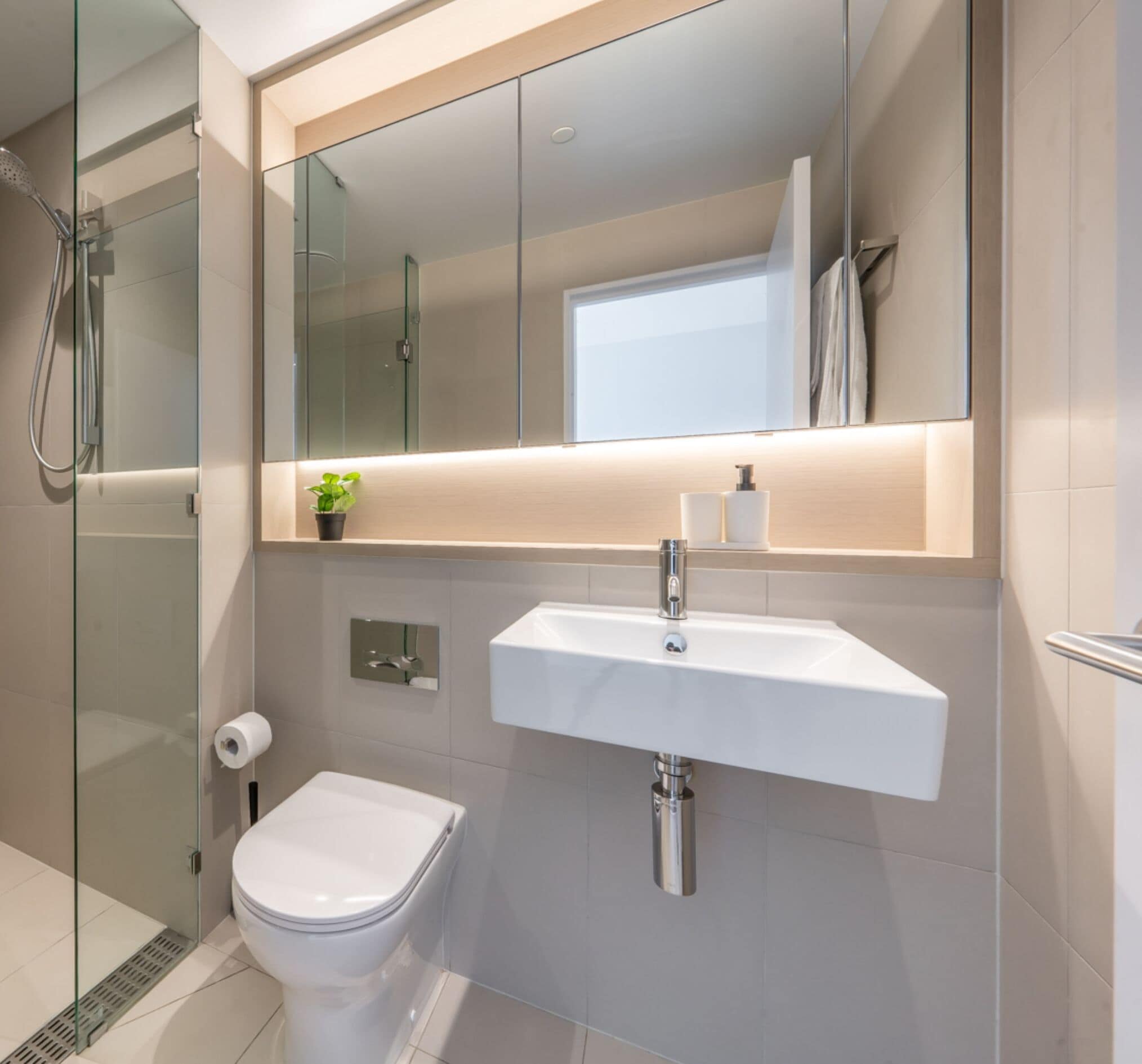 A modern bathroom with a glass shower enclosure, a white toilet, a sink with a mirror above it, and a small potted plant on the countertop.
