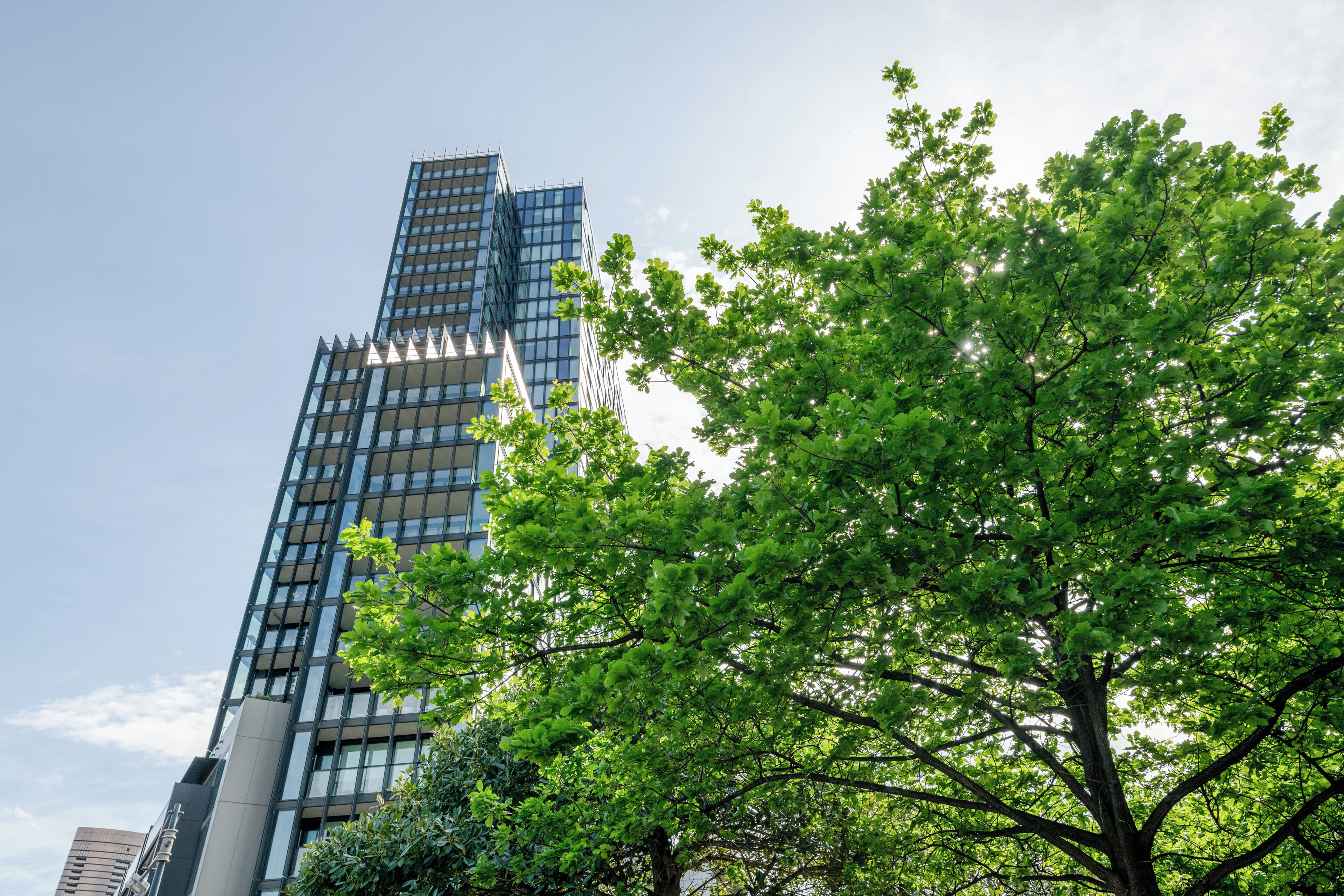 Un edificio moderno con fachada de vidrio y un árbol en primer plano.
