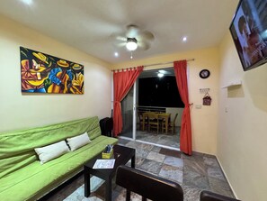 Televisión, reproductor de DVD y libros 