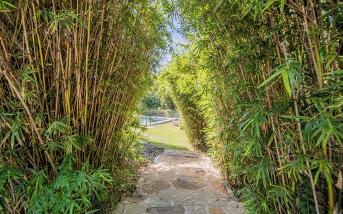 Toro Canyon: 6mi to DT Austin · Heated/Cooled Pool · Hot Tub · Sport Court