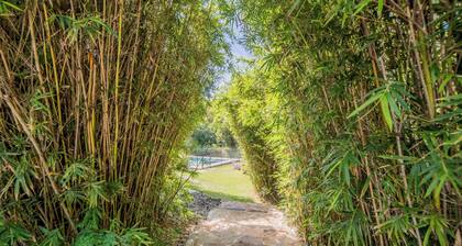 Toro Canyon: 6mi to DT Austin · Heated/Cooled Pool · Hot Tub · Sport Court