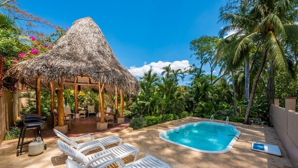 A pool area with lounge chairs, a thatched-roof structure, and palm trees.