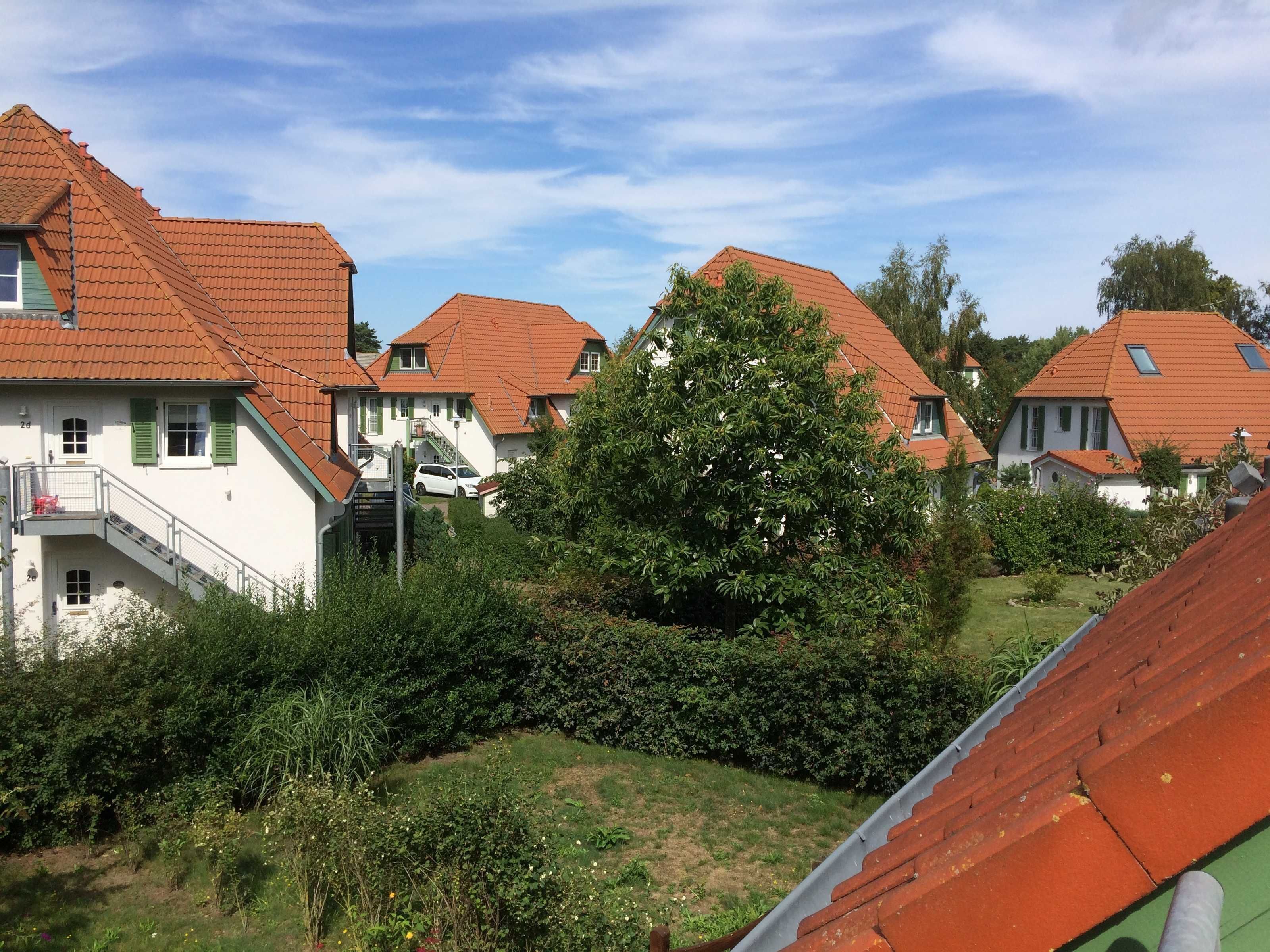Un quartier résidentiel où les maisons se distinguent par leurs toits recouverts de tuiles rouges et leurs volets verts, le tout entouré d’une végétation luxuriante et sous un ciel dégagé.