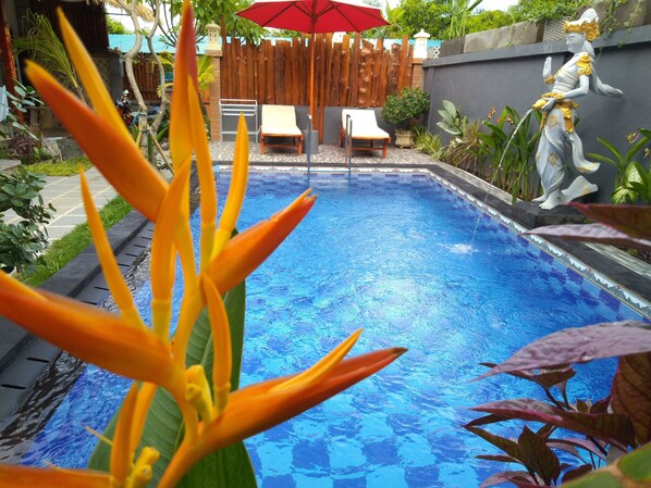 Outdoor pool, pool loungers