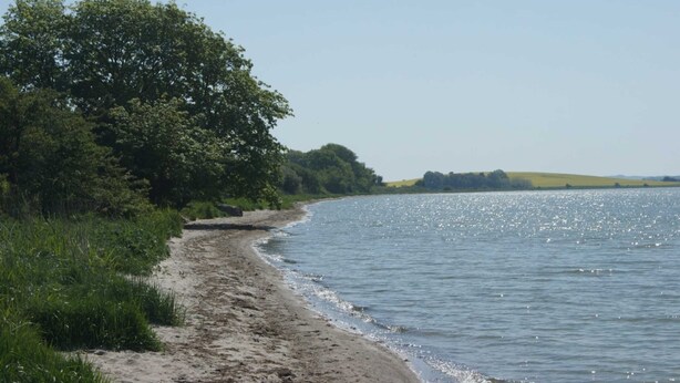 En sandstrand med en tæt skovstribe og et roligt vandareal der spejler sollys.