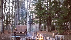 Ein Waldcampingplatz mit Feuerstelle, umgeben von Steinen und Baumstümpfen, einer Bank und hohen Bäumen im Hintergrund.