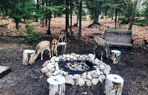 室外用餐