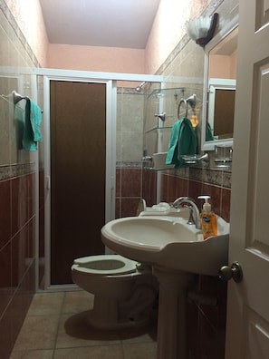 Un baño con inodoro, lavabo y ducha.