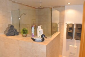 Secador de cabelo, toalhas de banho, sabonete, shampoo