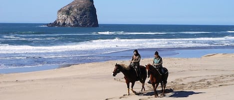 Ride the shoreline with breathtaking ocean views and scenic rock formations.