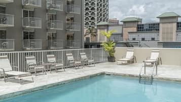 A rooftop pool area with lounge chairs and a potted plant.