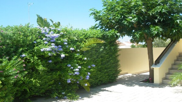 Áreas de la propiedad