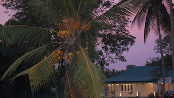 Khuôn viên nơi lưu trú