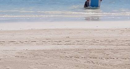 Shell Shack - Port Rickaby