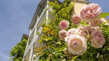 Ein Gebäude mit einer Kletterrose vor der Fassade.