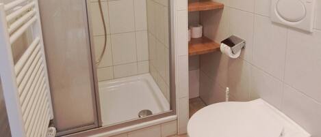 A bathroom with a shower, toilet, and shelves with toiletries.
