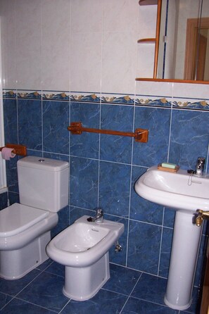 Combined shower/bathtub, bidet, towels, soap