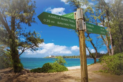 Tropical Turtle Bay Condo,  Steps from Pool & Walking Distance to Beach