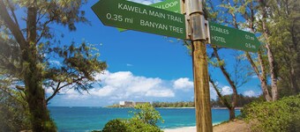 Condo Tropical Turtle Bay, Ă quelques pas de la piscine et Ă distance de marche de la plage