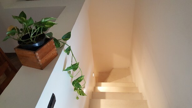 Eine Treppe mit einem Blumentopf auf der linken Seite.