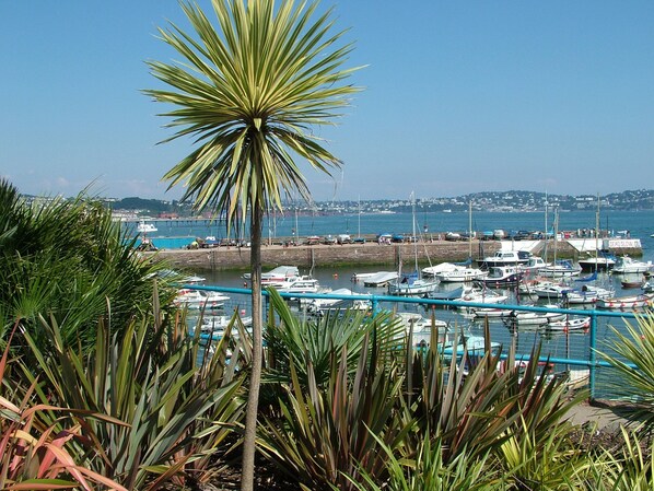 A marina with boats docked, surrounded by greenery and a clear sky.
