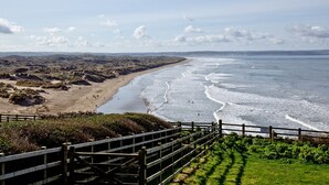 Un paysage côtier avec une plage de sable, une clôture en bois et une zone herbeuse.