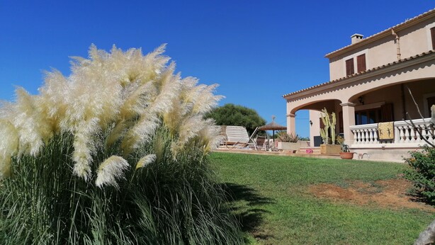 A large house with a covered patio and a lawn. - Finca with sea views and pool special offer last week of August (Calonge)