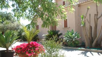 Terrein van de accommodatie