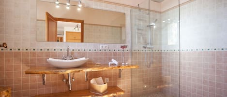 Combined shower/tub, hair dryer, bidet, towels