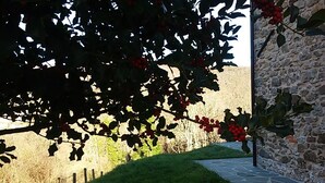 A stone pathway leading to a stone building with a grassy area and a tree with red berries. - CA GIACOMO, in the middle of the Lunigiana woods .. relax ... and unique atmospheres (Serrapiana)