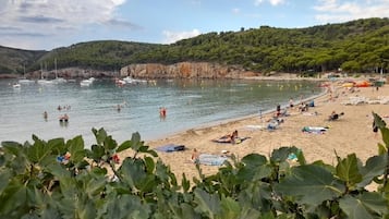 On the beach
