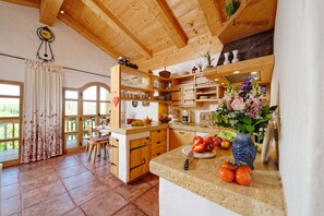 Fridge, microwave, stovetop, dishwasher - Great loft apartment with 2 bathrooms (Eggstätt)