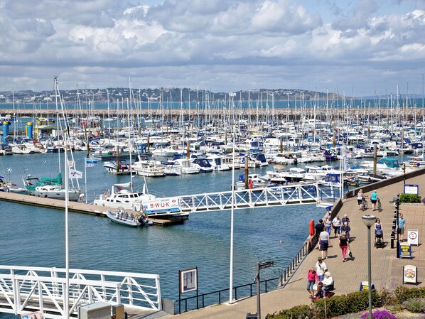 Niet-geclassificeerde afbeelding, 1 van 18, knop