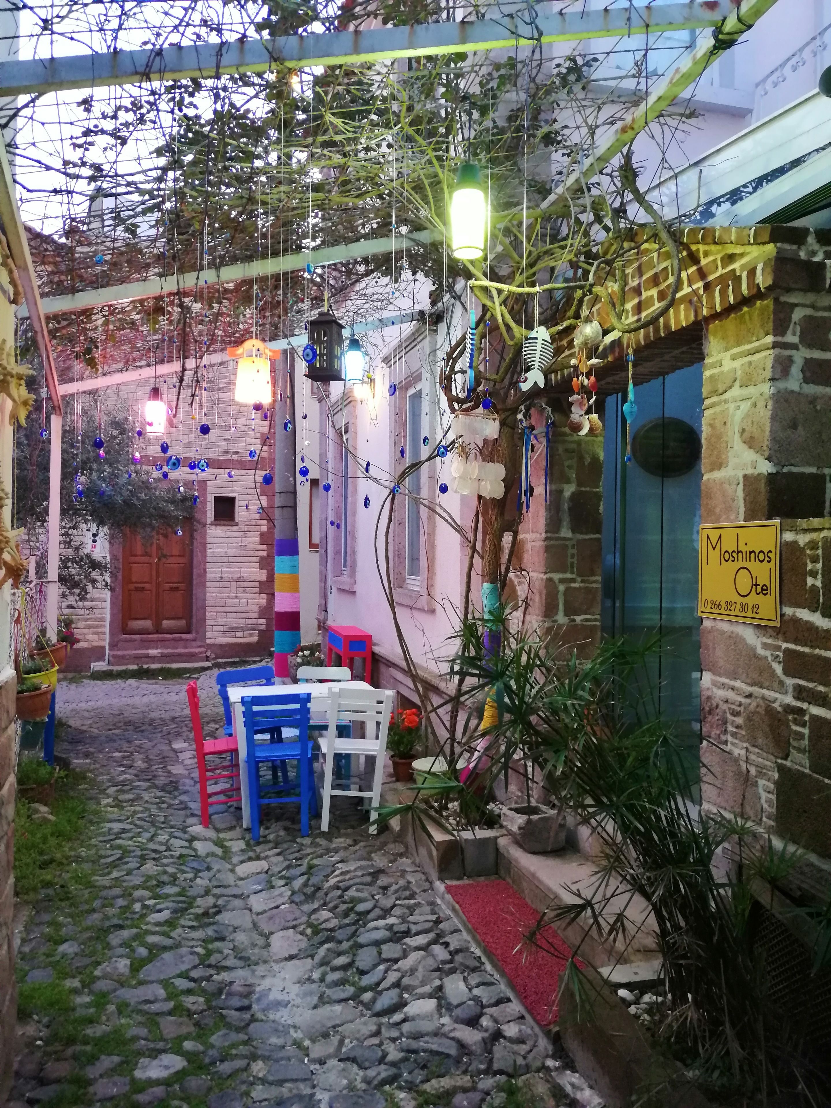 standard double room | garden view