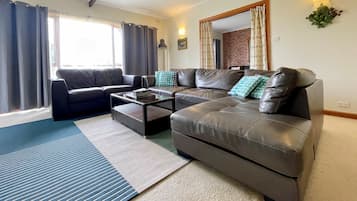 Flat-screen TV, video library