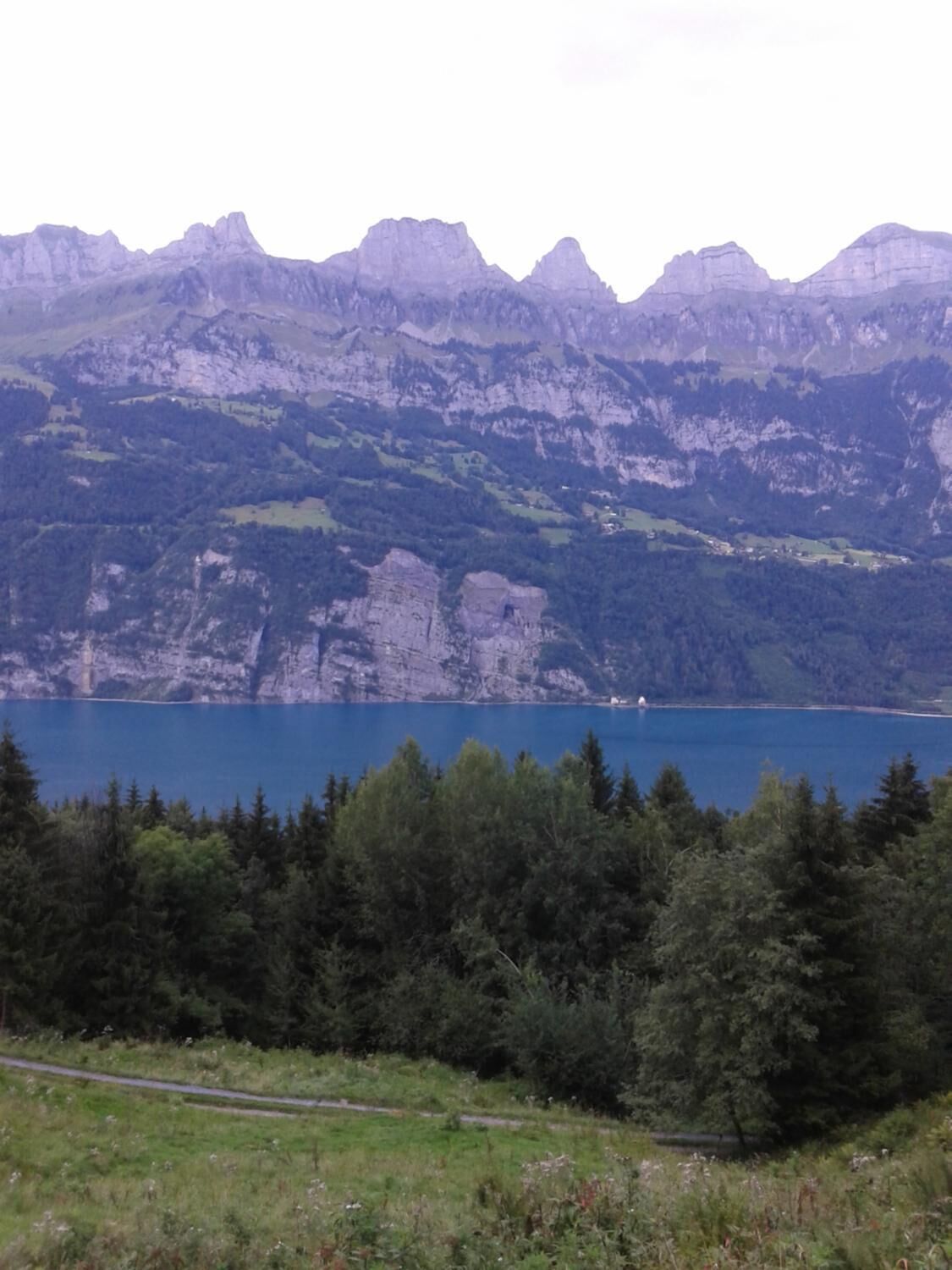 Un paisaje montañoso con un lago y un bosque denso.
