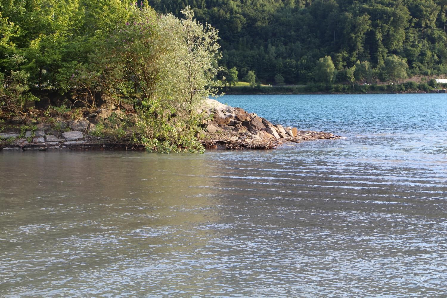 A calm lake with a rocky shoreline and dense greenery.