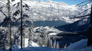 A snowy mountain landscape with a lake and forested area. - Hotel Schiffahrt (Quarten)