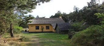 Cozy stone holiday home on dune plot, with WiFi and oven