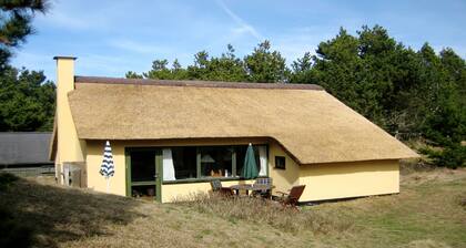 Hübsche Ferienhaus aus Stein in Dünenlandschaft in Strandnähe