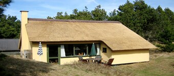 Cozy stone holiday home on dune plot, with WiFi and oven