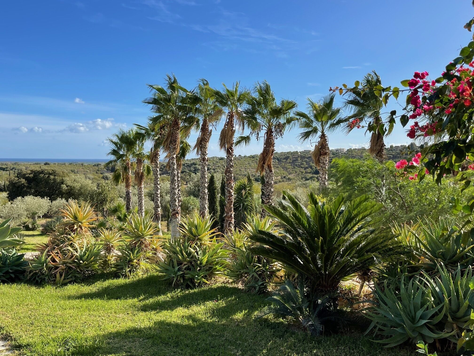 Parco della struttura