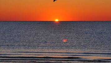 Plage à proximité, chaises longues