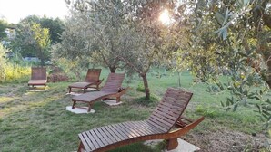 Outdoor wooden lounge chairs with white cushions on a grassy area, surrounded by trees and greenery. - House Kras (Kras)