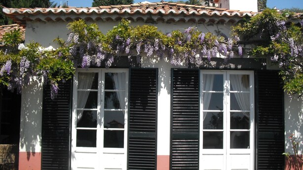 A building with a white facade, green shutters, and a tiled roof. - Villa Wisteria (Funchal)