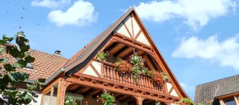 Homerez - House in Triembach-au-Val