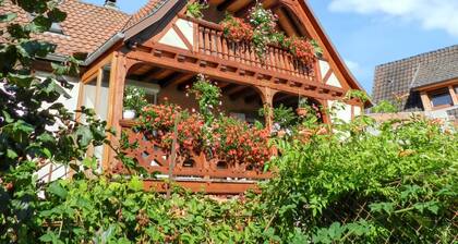 Homerez - House in Triembach-au-Val