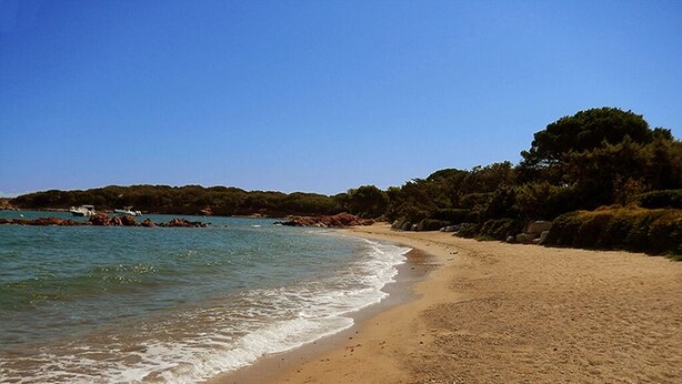 A beach with clear blue water, sandy shore, and dense greenery in the background. - LARGE VILLA, SOUTH CORSICA, PRIVATE AREA OF CALA ROSSA. (Lecci)