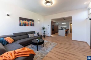 TV, fireplace, books