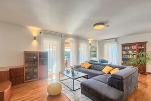 TV, fireplace, books